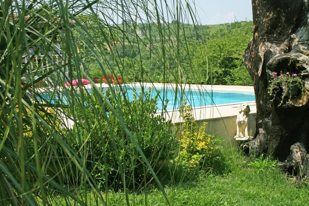 Ormanevi Otantik Hotel Ağva Exterior foto